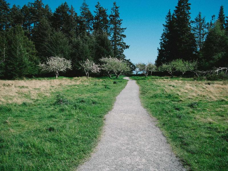 直播助眠师<br>sybmuzg.cn ASMR 触发音